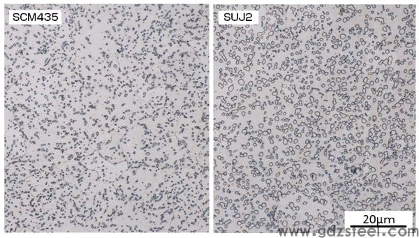 图2 SCM435和SUJ2的球化退火显微组织