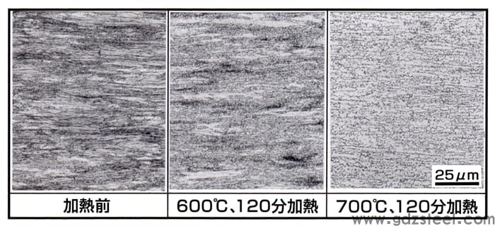 图 3 钢琴丝低温退火引起的组织变化